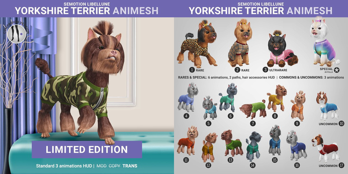 SEmotion Libellune Yorkshire Terrier Animesh #11