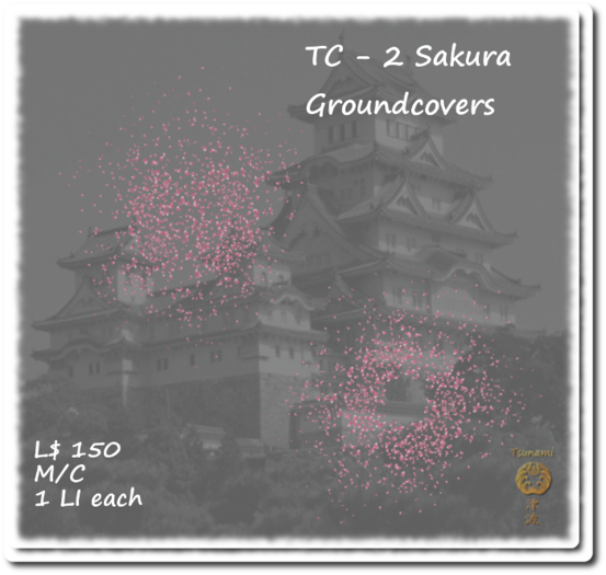 2 Sakura Groundcovers