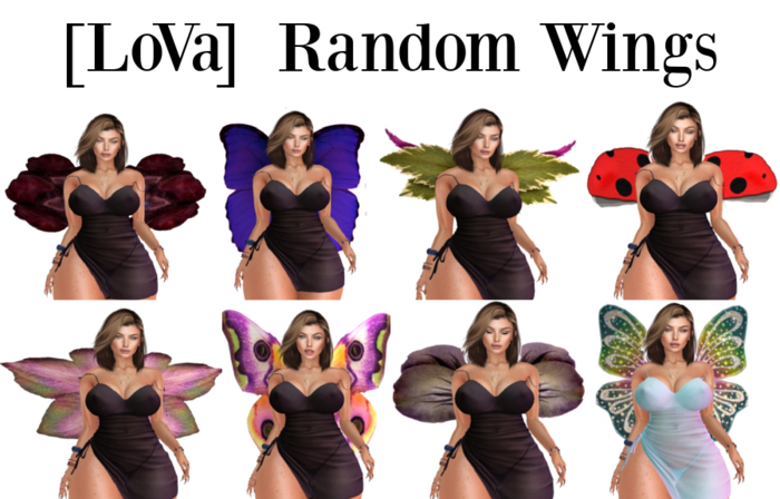 [LoVa] Random Wings