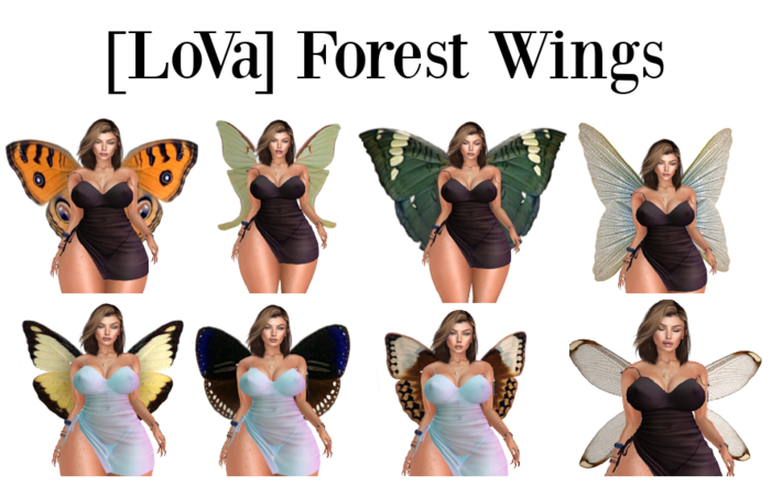 [LoVa] Forest Wings