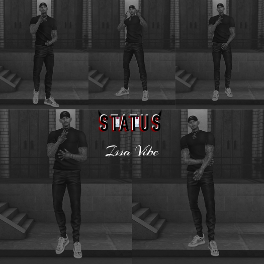 STATUS ~ Issa Vibe Posepack
