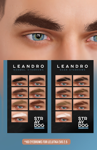 STRAY DOG ADD ON - LEANDRO EYEBROWS - LELUTKA