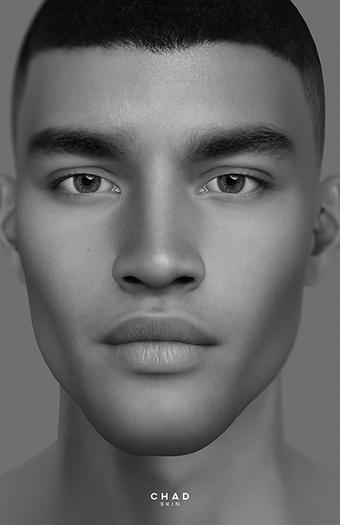 *DEMO* Stray Dog -  CHAD