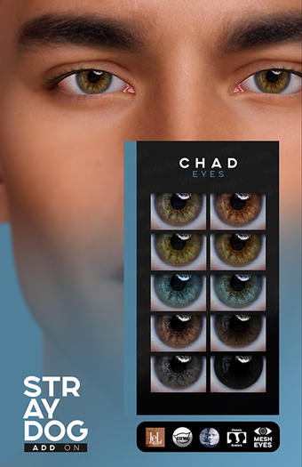 STRAY DOG ADD ON - CHAD EYES