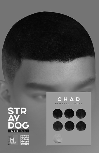 *DEMO* Stray Dog - CHAD HAIRBASE