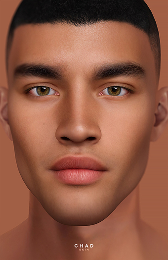 STRAY DOG - CHAD  - LELUTKA - TONE 09