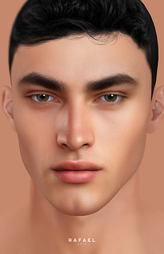 STRAY DOG - RAFAEL  - LELUTKA - TONE 04