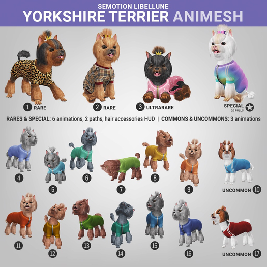 SEmotion Libellune Yorkshire Terrier Animesh #15