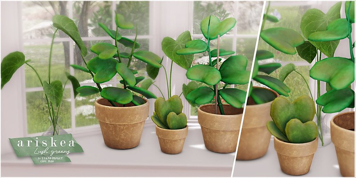 Ariskea[Lush] Fatpack