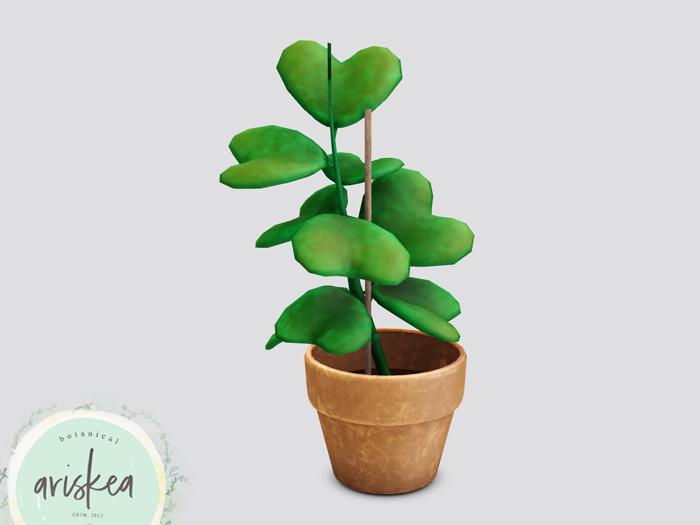 Ariskea[Lush] Heart plant [3]
