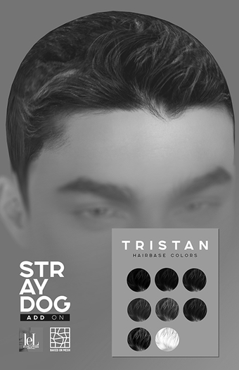 *DEMO* Stray Dog - TRISTAN Hairbase