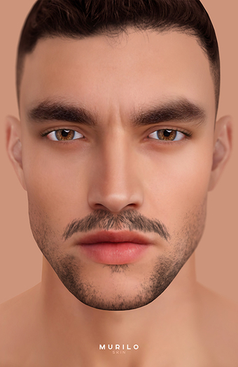 STRAY DOG - MURILO  - LELUTKA - TONE 06