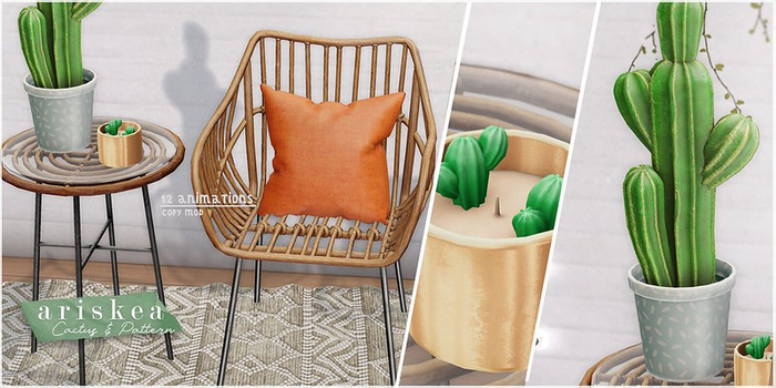 Ariskea[Bailey] Fatpack