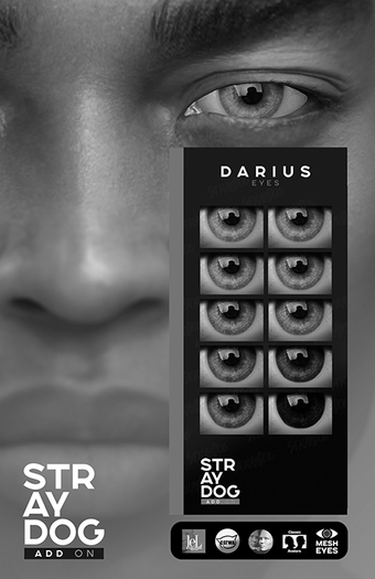 *DEMO* Stray Dog - DARIUS EYES