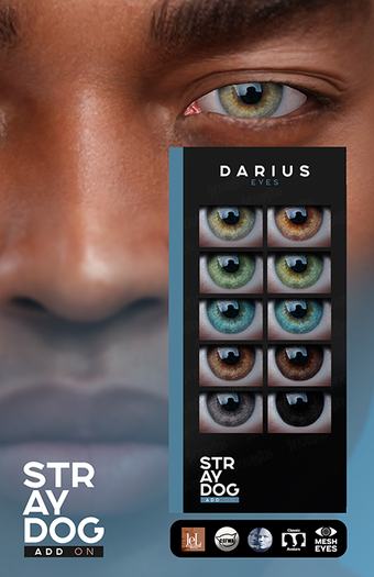 STRAY DOG ADD ON - DARIUS EYES