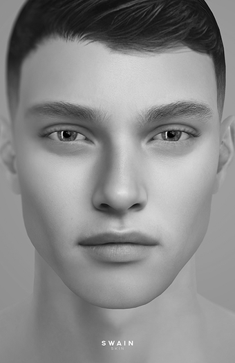 *DEMO* Stray Dog -  SWAIN