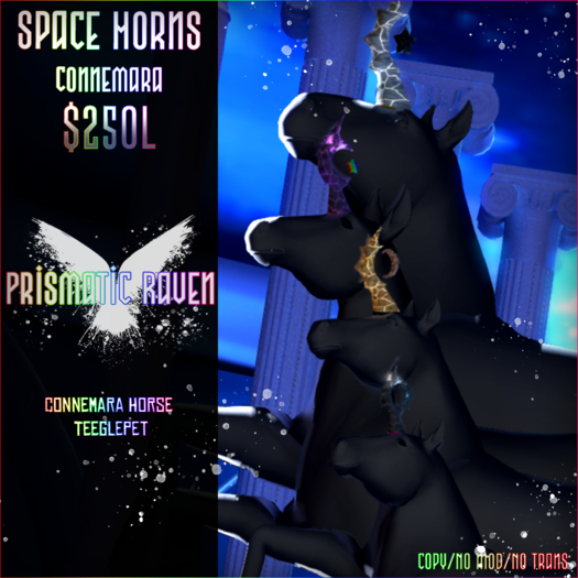 [PR] Space Horns CONNEMARA