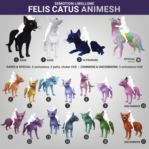 SEmotion Libellune Felis Catus Animesh #16