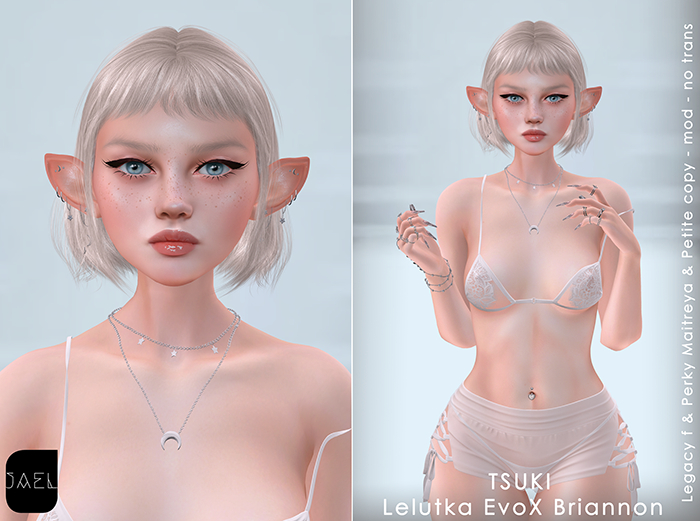 Tsuki Shape for Lelutka EvoX - Briannon