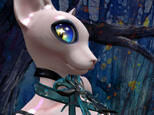 Eyeshadow Midnight Stars for Sphynx HP