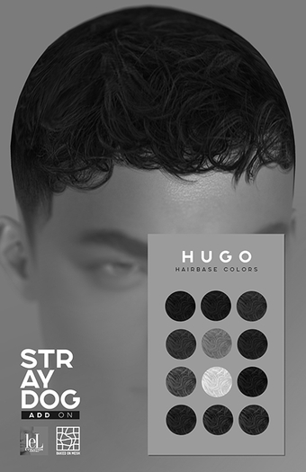 *DEMO* Stray Dog - HUGO Hairbase