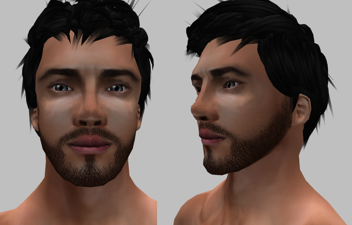 Stubble beard