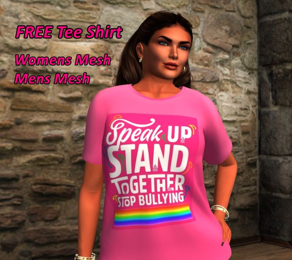 FREE Anti-Bullying Womens T-shirt