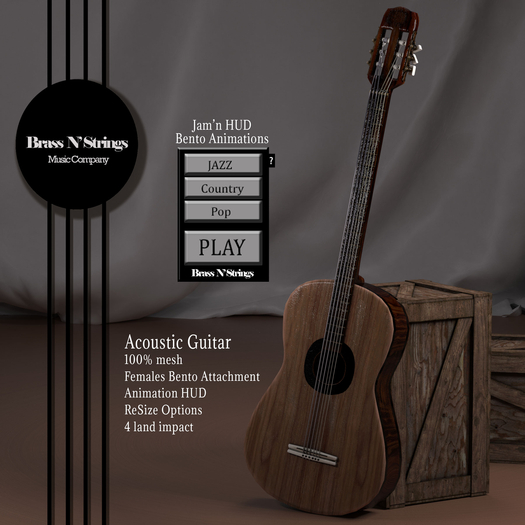 Acoustic Guitar Jam'n-Female