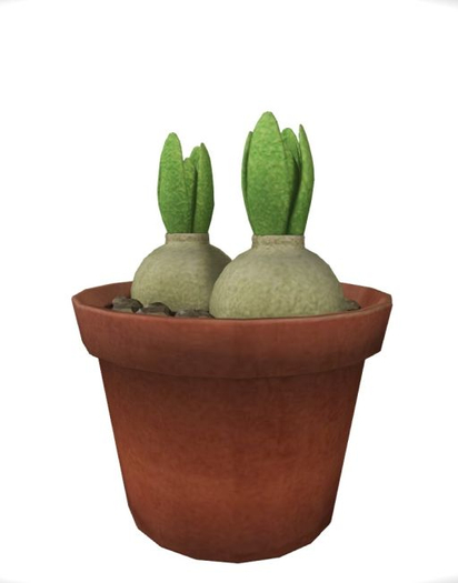 06 Garden Gacha - flower bulbs 1