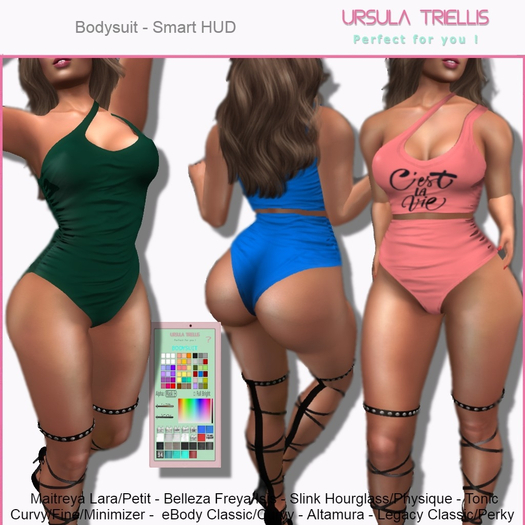 6384 Juliete Mesh Bodysuit - [Megapack]