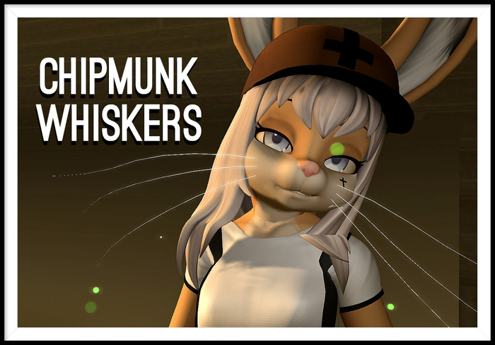 Chipmunk Whiskers