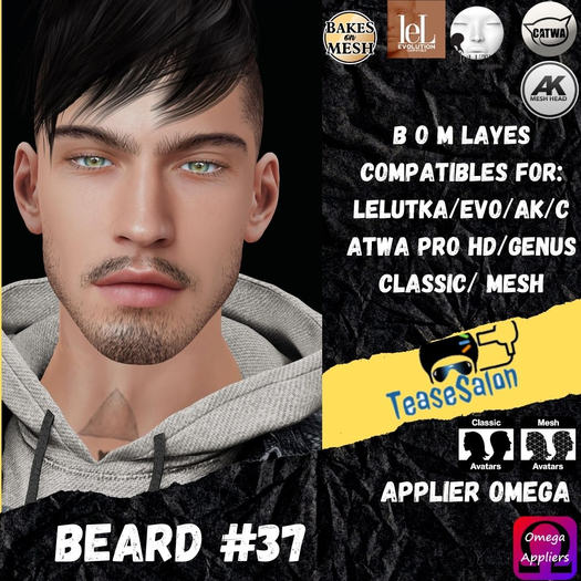 #TS# Beard #37 BOM - Lel Evo/Catwa HD Pro/AK/ Classic