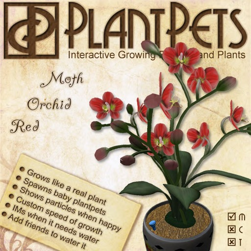 PlantPet Seed [Moth Orchid *Red*]