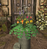 CJ Harmony Zinc Milk Churn Wild Flower 2