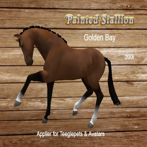 {Painted Stallion}_Golden Bay
