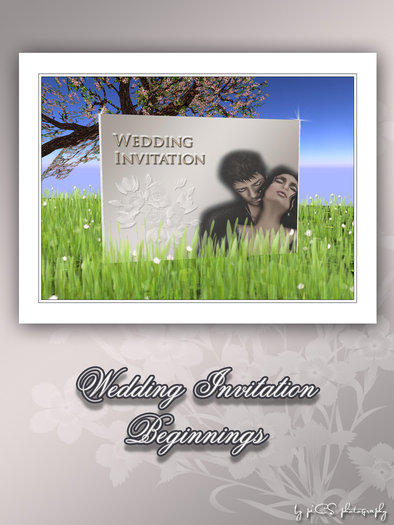 Wedding Invitation "Beginnings" by piCS photography