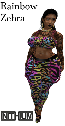 Rainbow Zebra