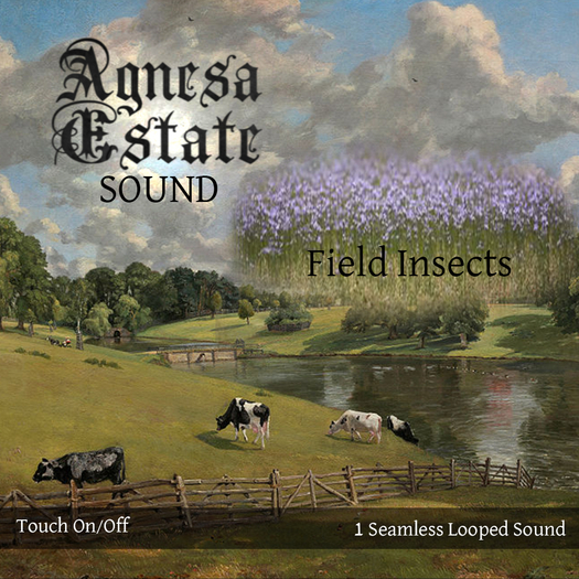 AE Sound Field Insects