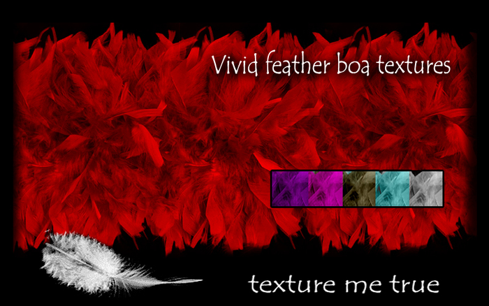 vivid feather boa textures