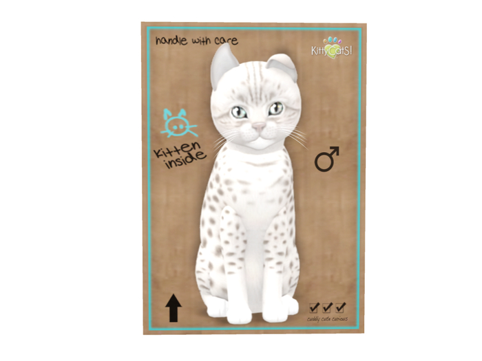 KittyCatS Box - 6T - M - Ocicat - Platinum