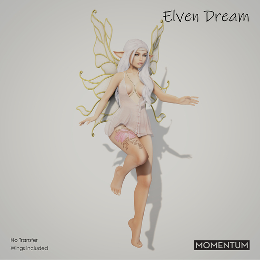 Momentum - Elven dream