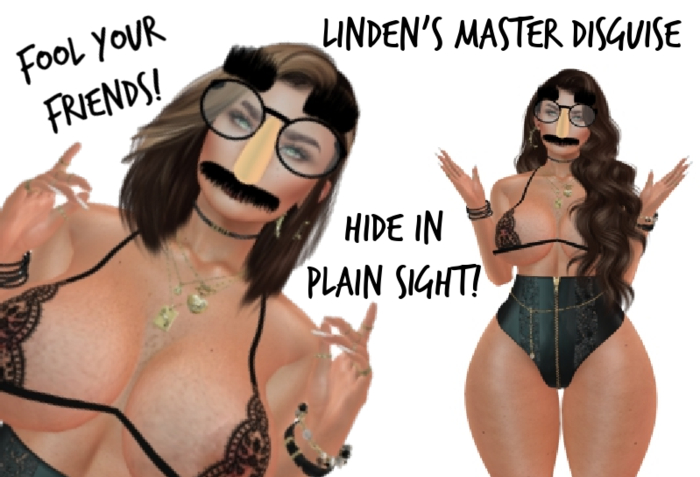 Linden's Master Disguise - Free