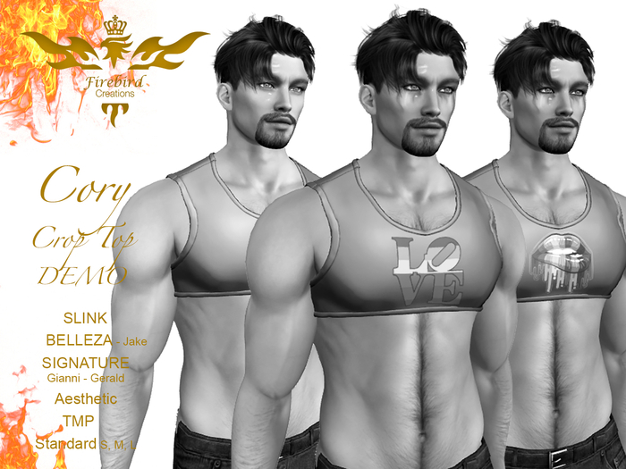 Firebird Cory Crop Top DEMO
