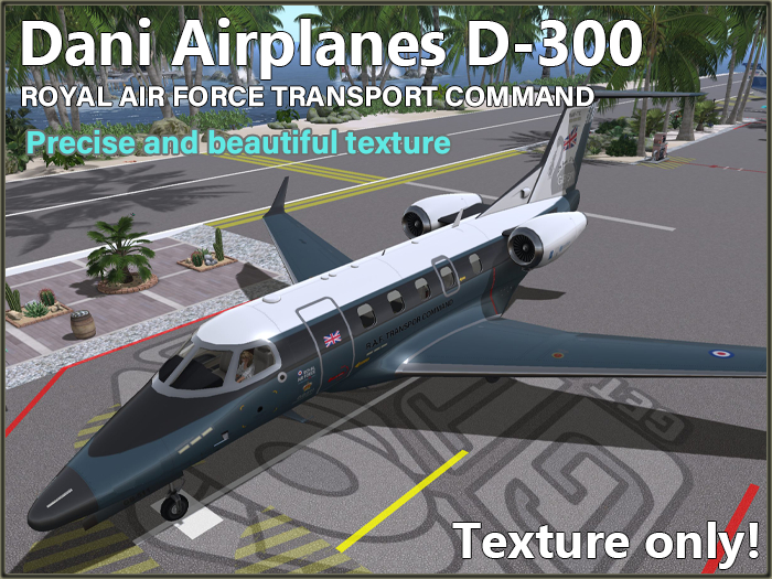 Paint D-300 (RAF-TC R1)