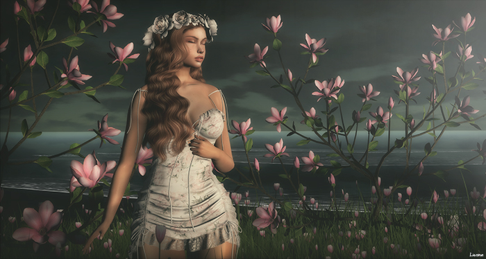 :LW: Bento Poses - Hopeful BOXED