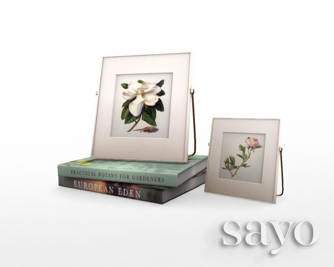 SAYO - Blues & Blooms - Botany Books & Frames Cluster