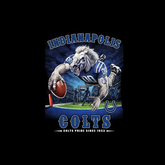 Fan Pride poster-Indianapolis