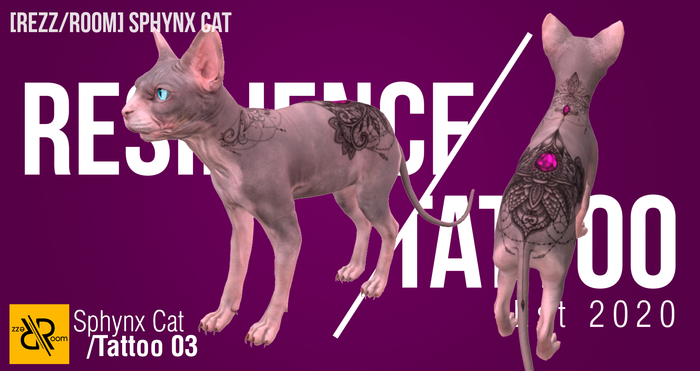[RESILIENCE] Tattoo - Sphynx Cat 03