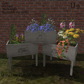 Wine Box Planter mixed flowers By Snuggles Boxed