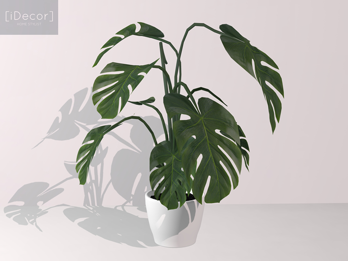 [iDecor] Tropical Planter